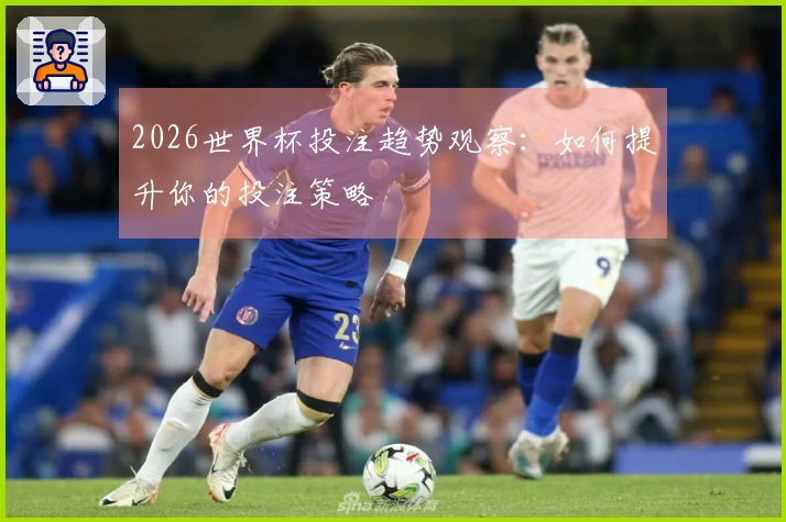 2026世界杯投注趋势观察：如何提升你的投注策略