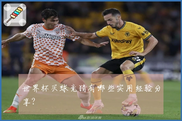 世界杯买球竞猜有哪些实用经验分享？