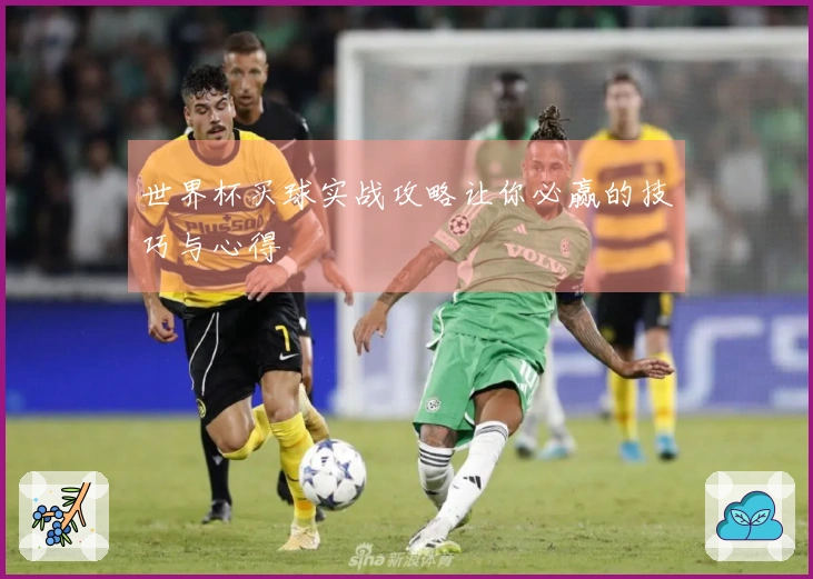 世界杯买球实战攻略让你必赢的技巧与心得