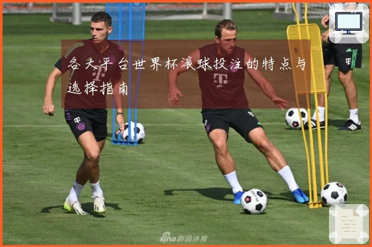 各大平台世界杯滚球投注的特点与选择指南