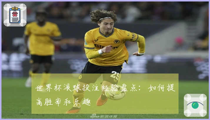 世界杯滚球投注经验盘点：如何提高胜率和乐趣